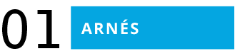 Arnés